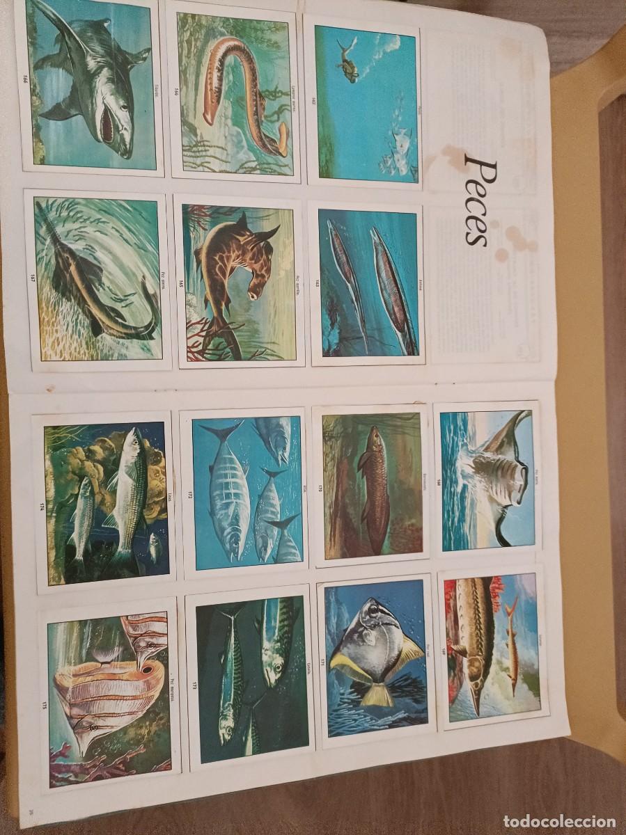 Coleccionismo &aacute;lbum: ciencias naturales 1 - Foto 9