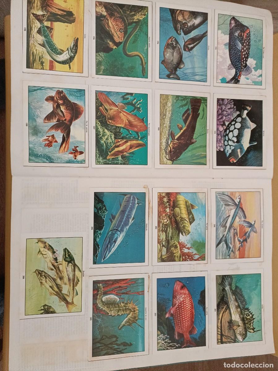 Coleccionismo &aacute;lbum: ciencias naturales 1 - Foto 10