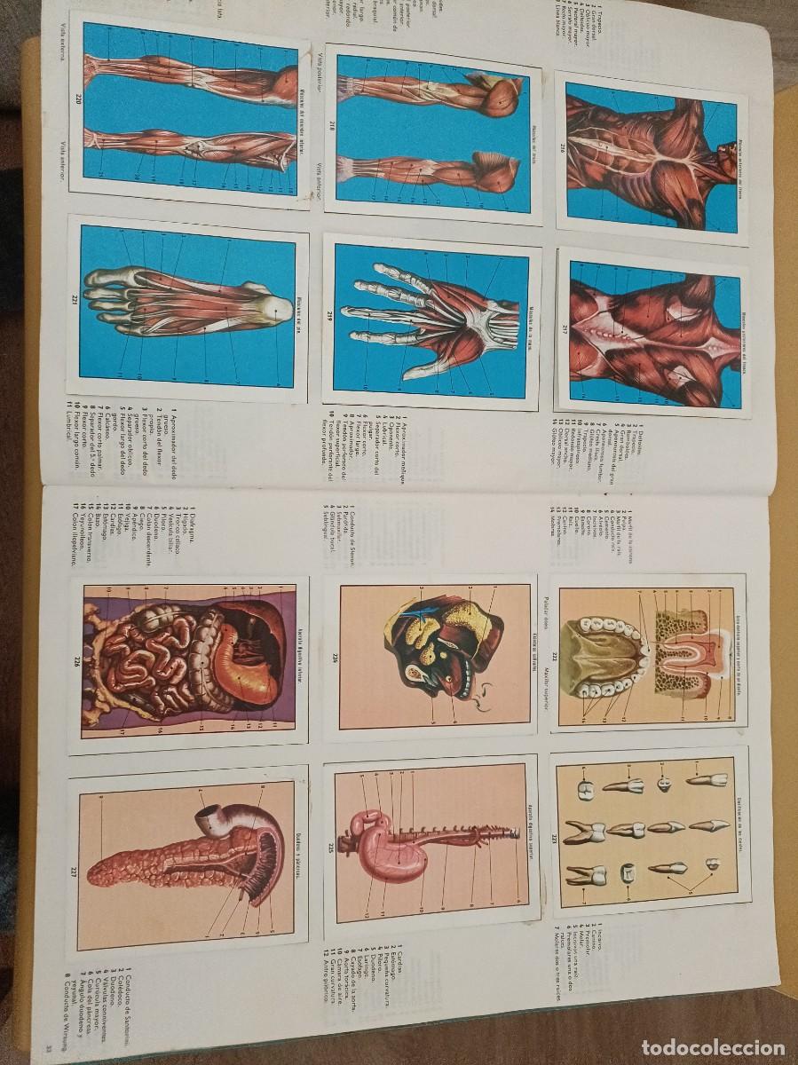Coleccionismo &aacute;lbum: ciencias naturales 1 - Foto 11