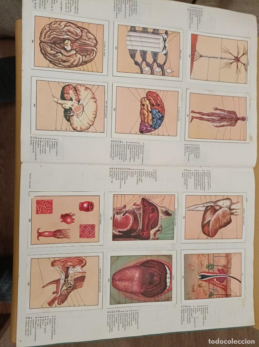 Coleccionismo &aacute;lbum: ciencias naturales 1 - Foto 12