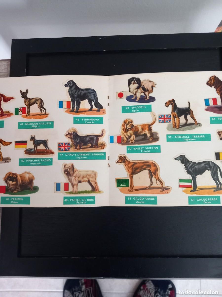 Coleccionismo &aacute;lbum: Albumes de cromos completos - Foto 4