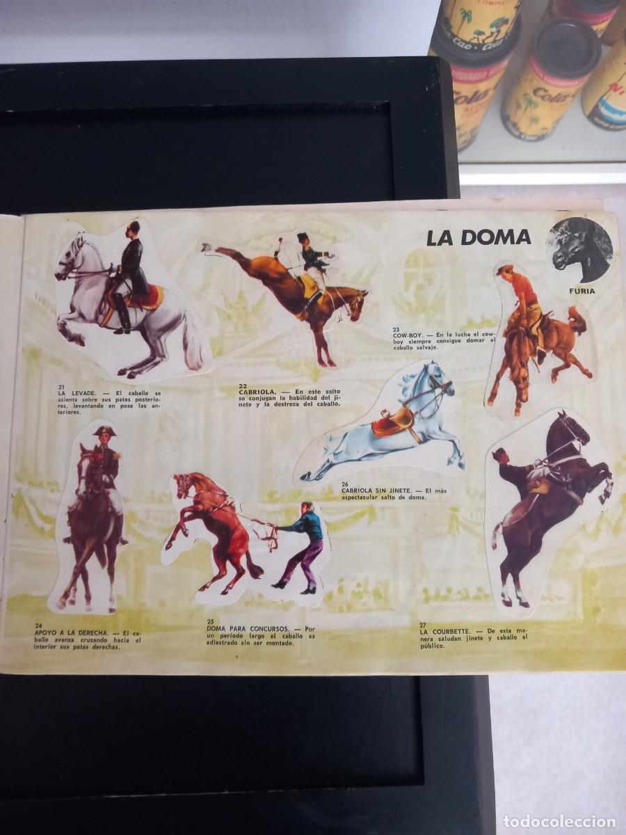 Coleccionismo &aacute;lbum: Albumes de cromos completos - Foto 4
