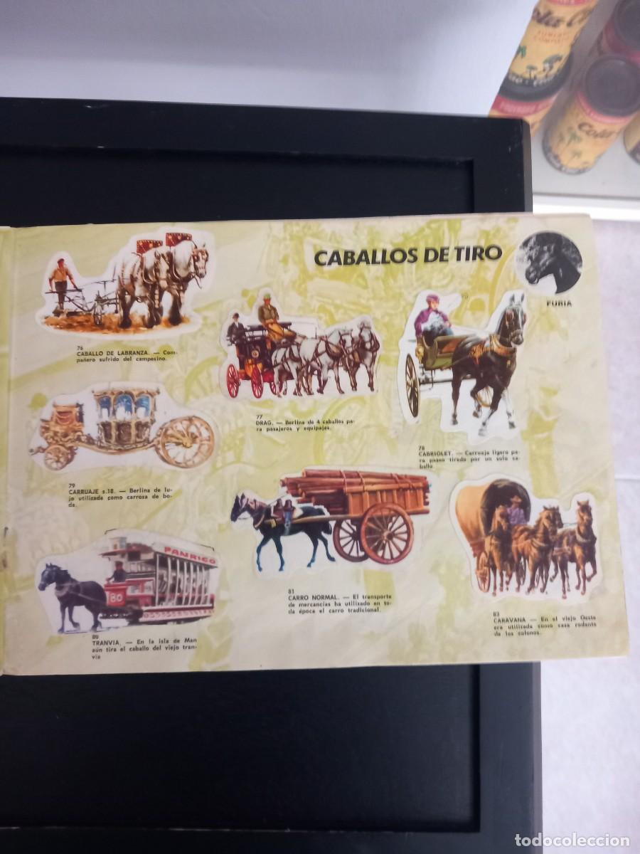 Coleccionismo &aacute;lbum: Albumes de cromos completos - Foto 14