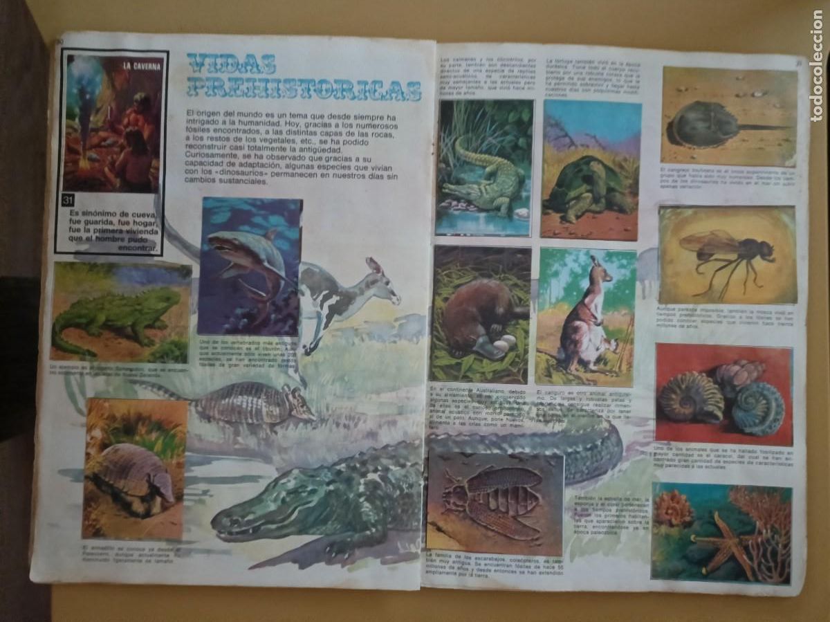 Coleccionismo &aacute;lbum: el libro de las adivinanzas 2 - Foto 9