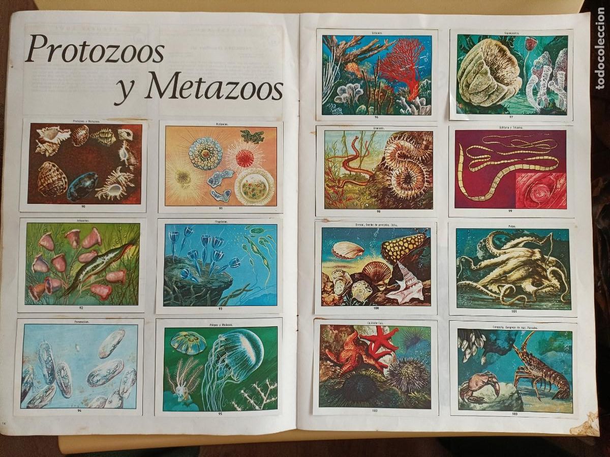 Coleccionismo &aacute;lbum: ciencias naturales 1 - Foto 5