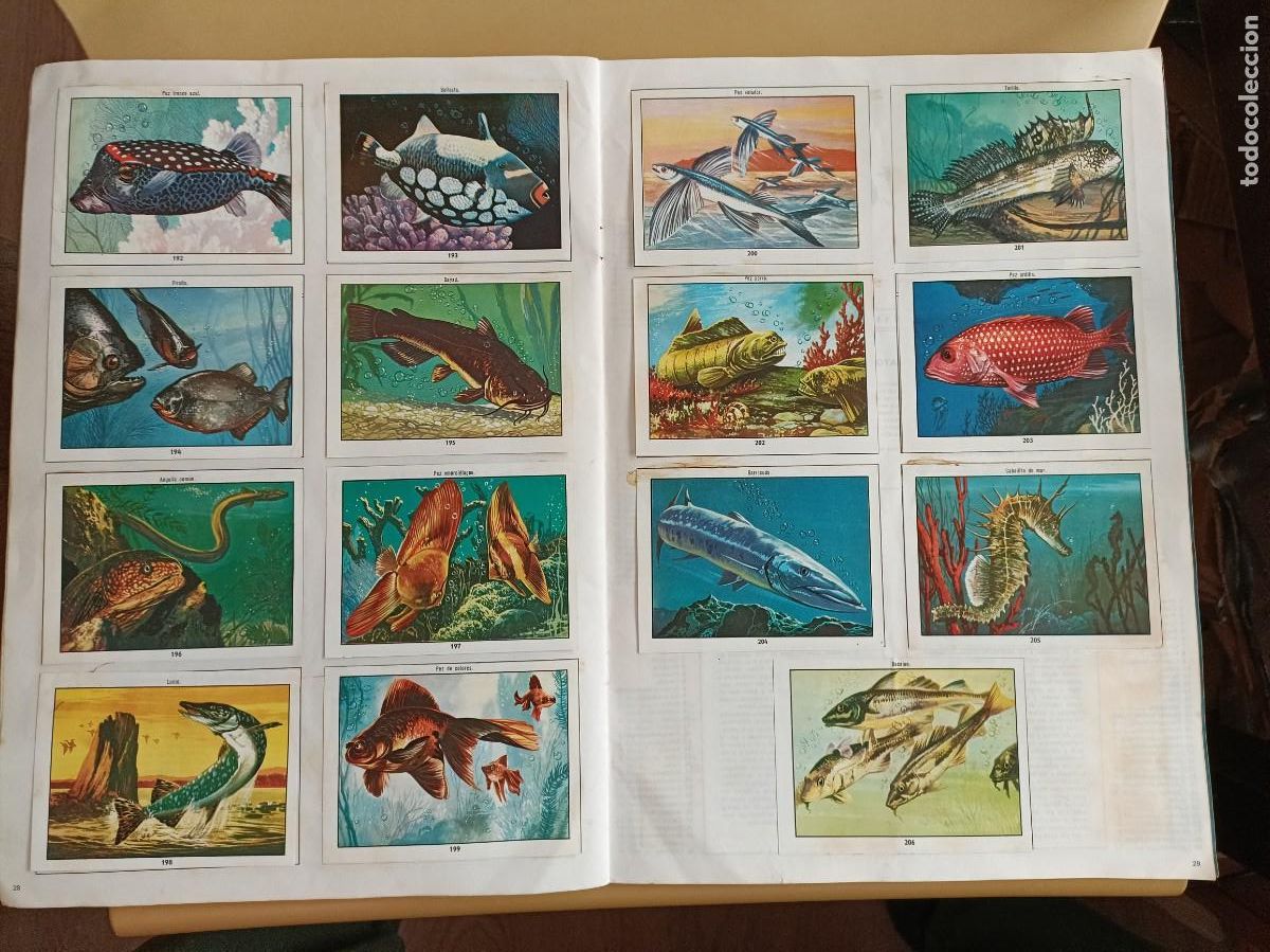 Coleccionismo &aacute;lbum: ciencias naturales 1 - Foto 9