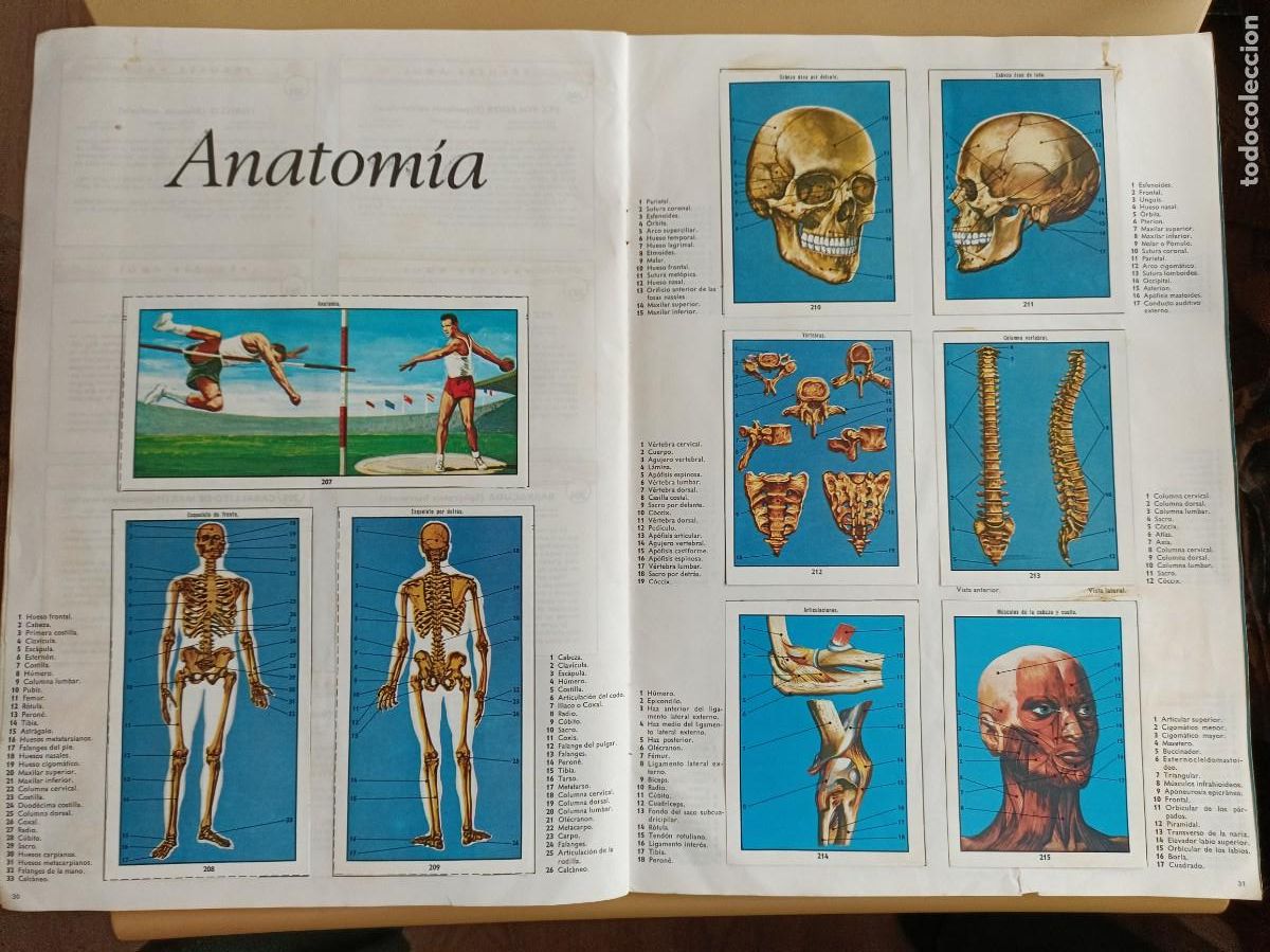 Coleccionismo &aacute;lbum: ciencias naturales 1 - Foto 10