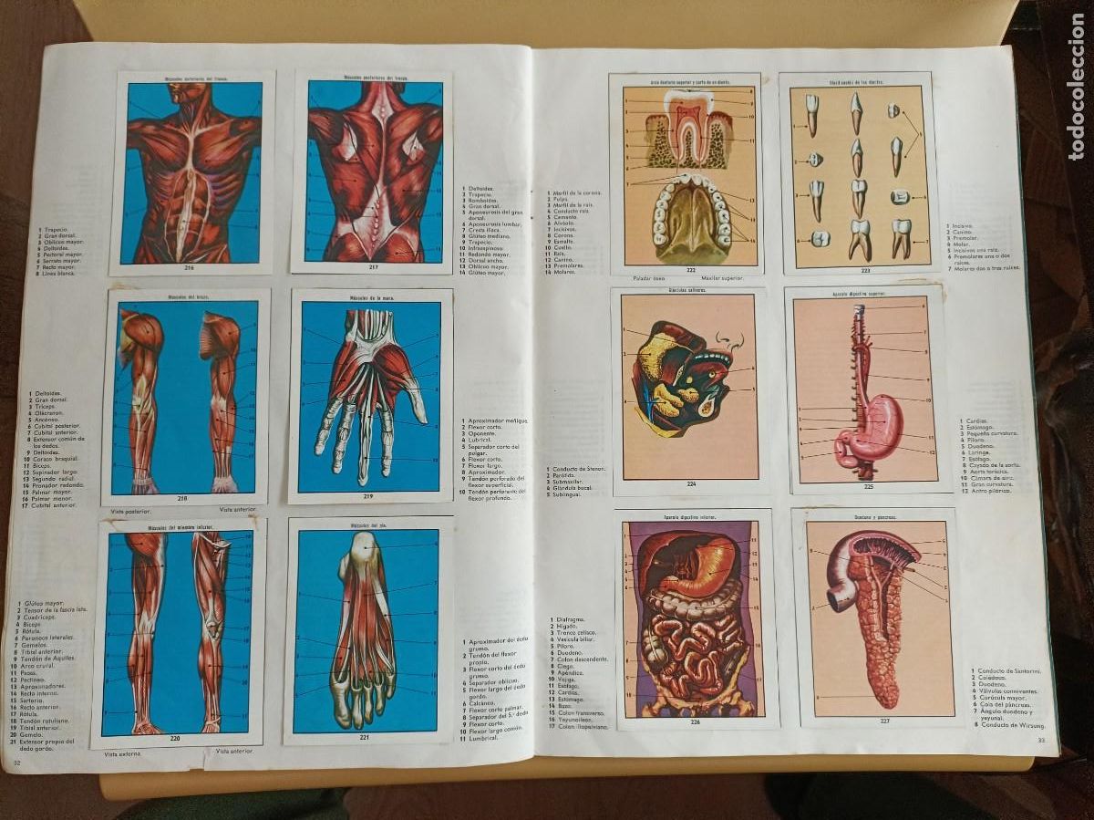 Coleccionismo &aacute;lbum: ciencias naturales 1 - Foto 11