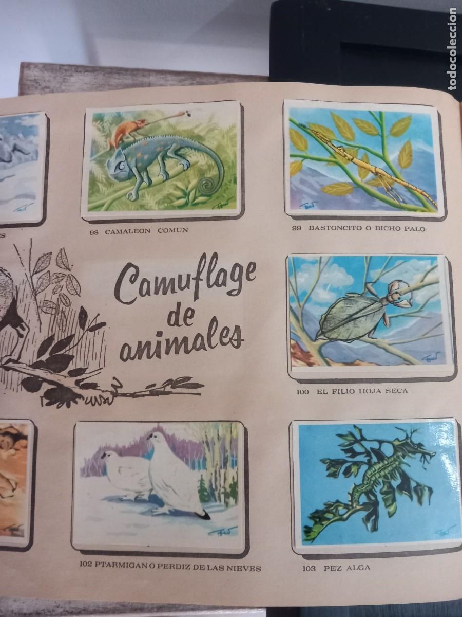 Coleccionismo &aacute;lbum: Albumes de cromos completos - Foto 6