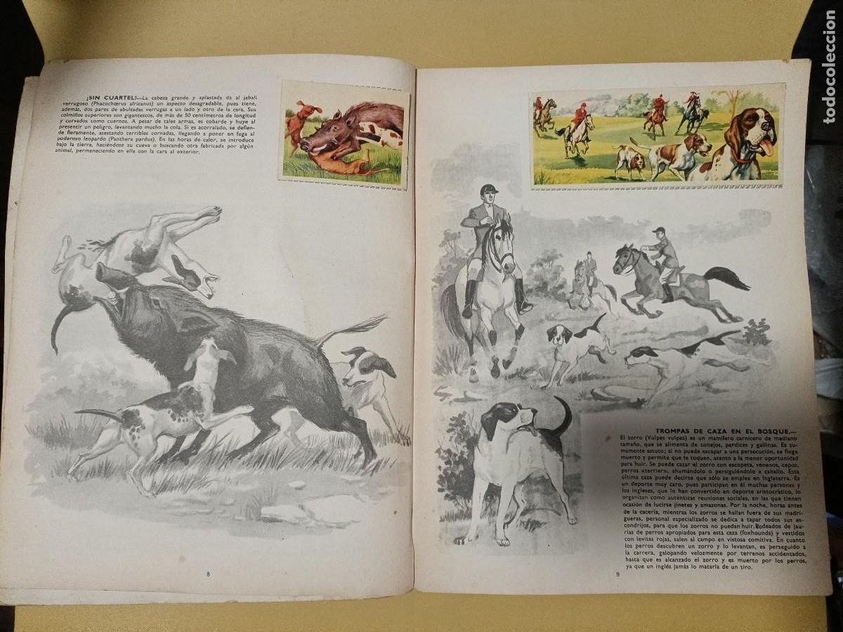 Coleccionismo &aacute;lbum: venciendo a los animales - Foto 3