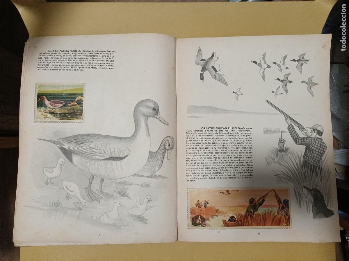 Coleccionismo &aacute;lbum: venciendo a los animales - Foto 6