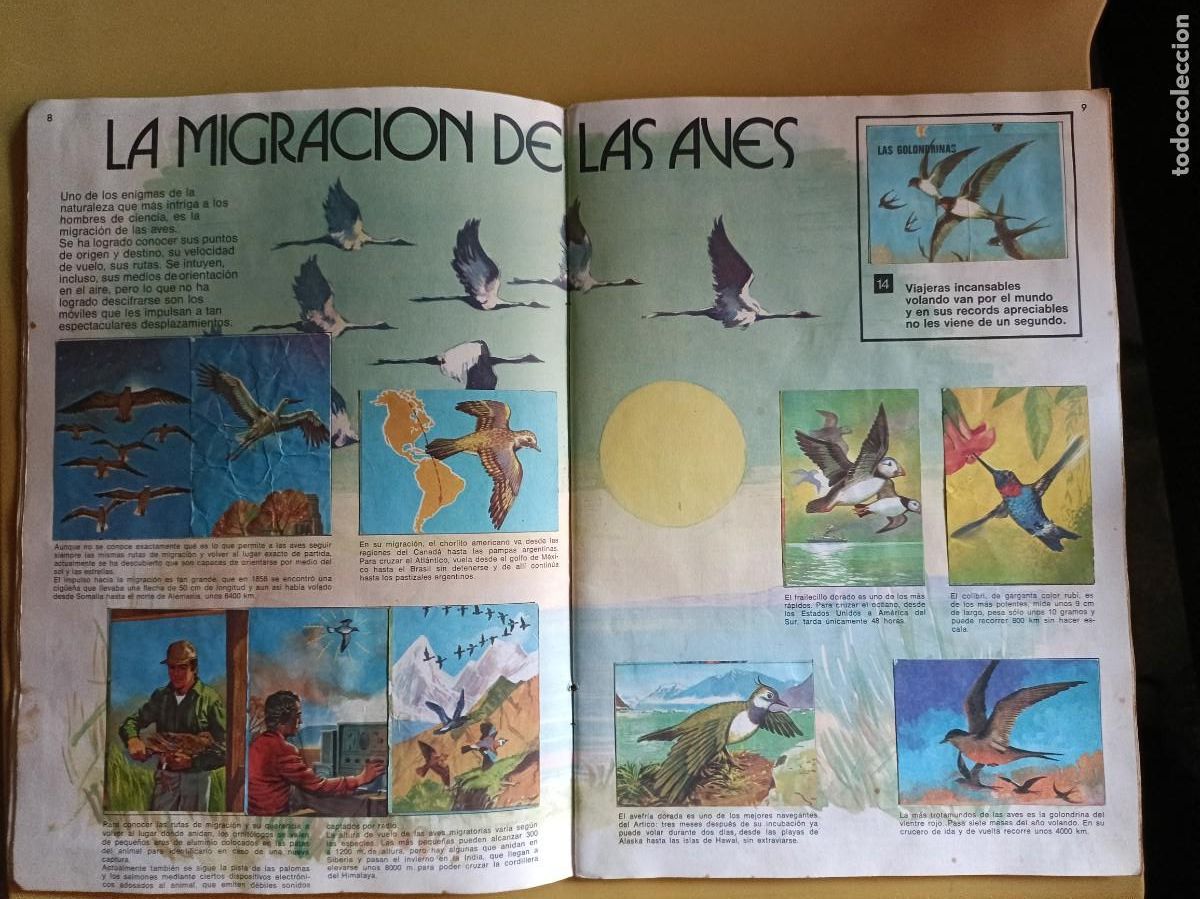 Coleccionismo &aacute;lbum: el libro de las adivinanzas 2, bimbo - Foto 5