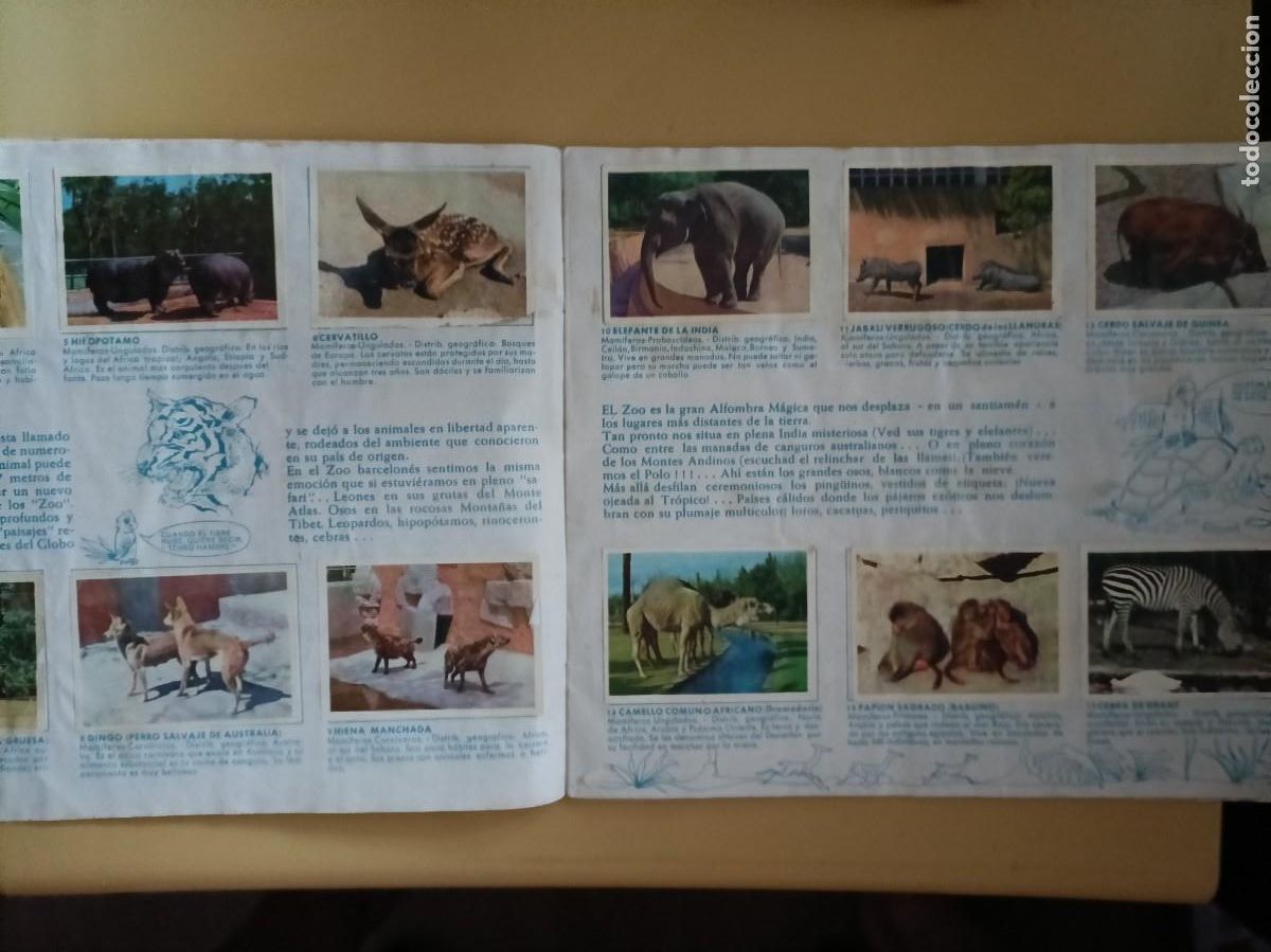 Coleccionismo &aacute;lbum: un dia en el zoo, completo - Foto 3