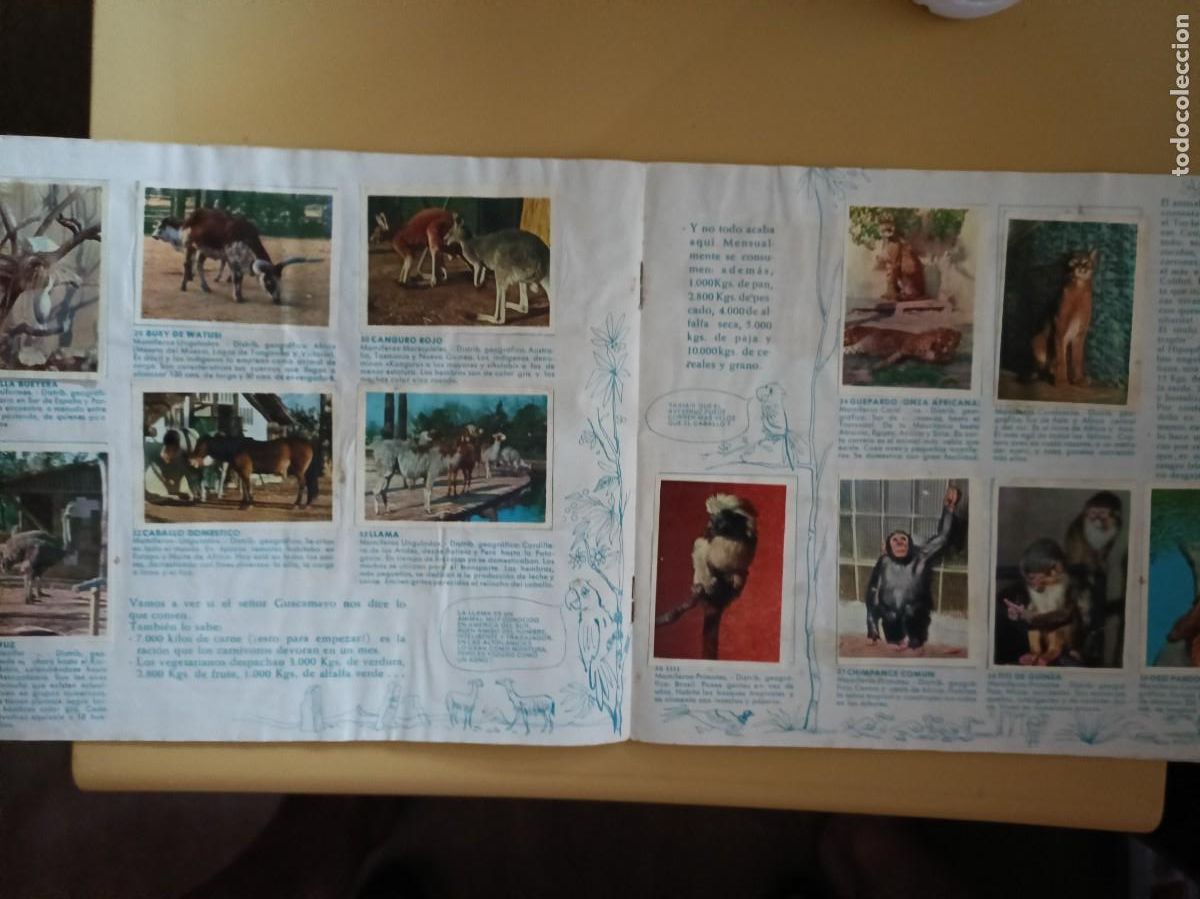 Coleccionismo &aacute;lbum: un dia en el zoo, completo - Foto 5