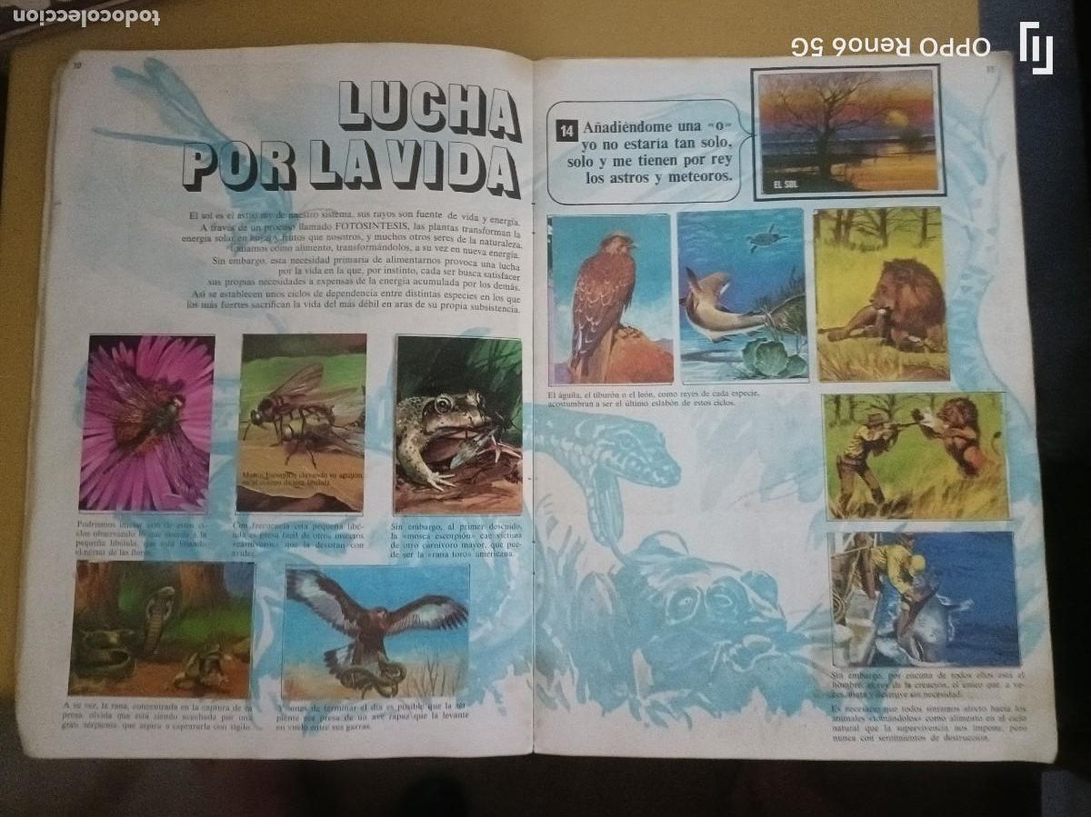Coleccionismo &aacute;lbum: el libro de las adivinanzas, bimbo - Foto 4