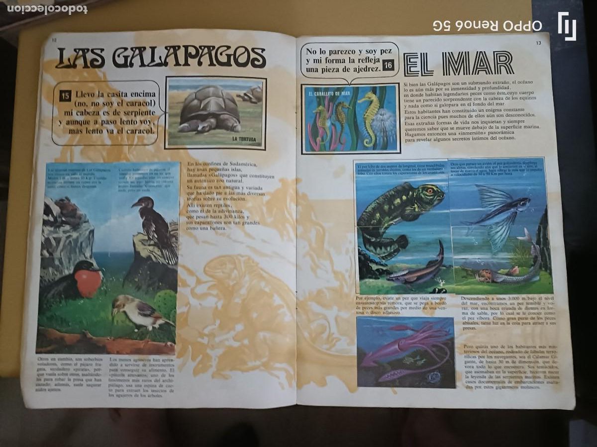 Coleccionismo &aacute;lbum: el libro de las adivinanzas, bimbo - Foto 5