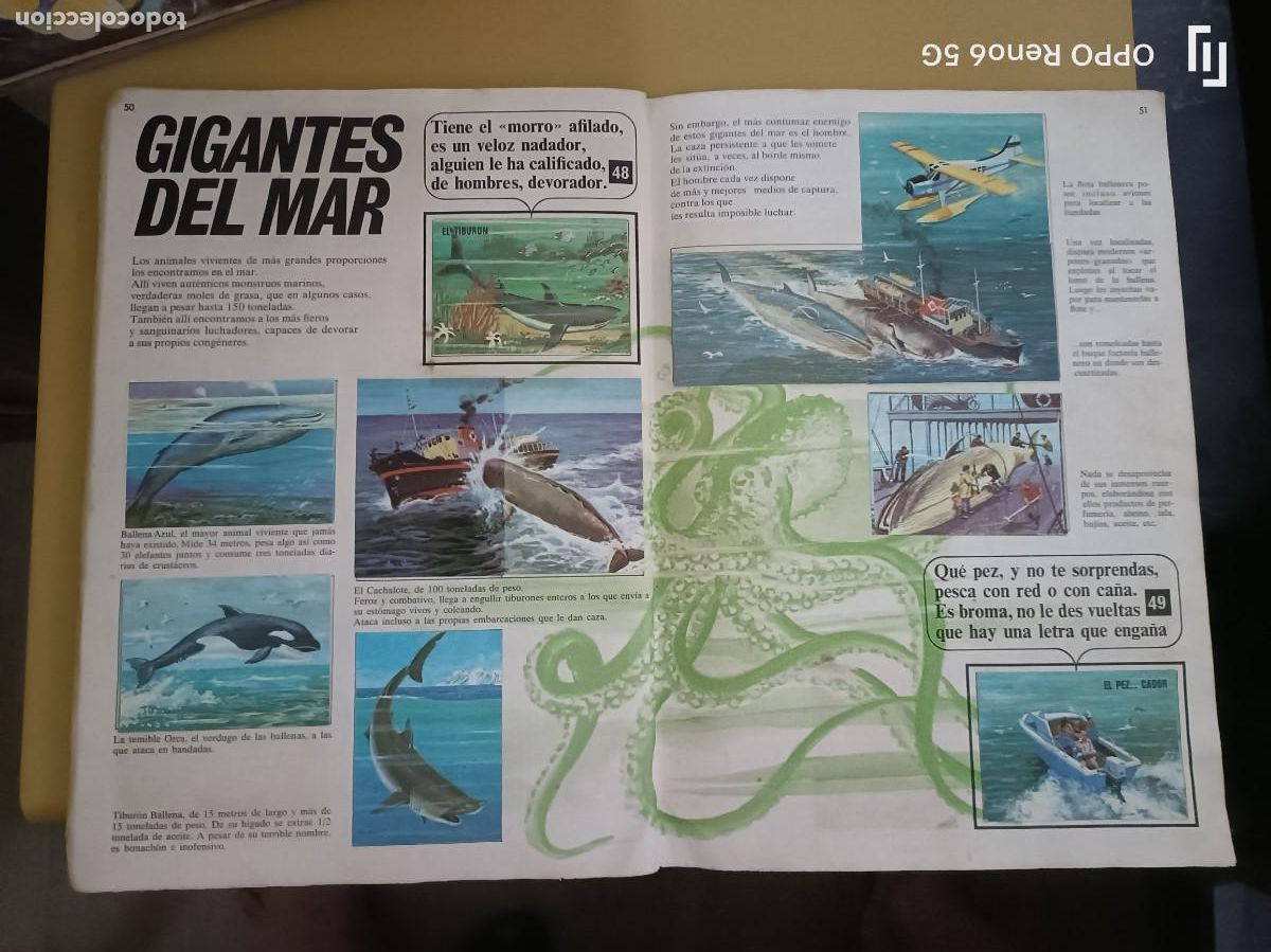 Coleccionismo &aacute;lbum: el libro de las adivinanzas, bimbo - Foto 16