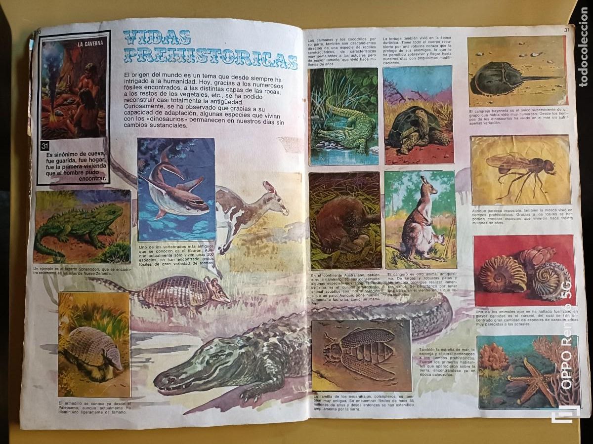 Coleccionismo &aacute;lbum: el libro de las adivinanzas 2 - Foto 14