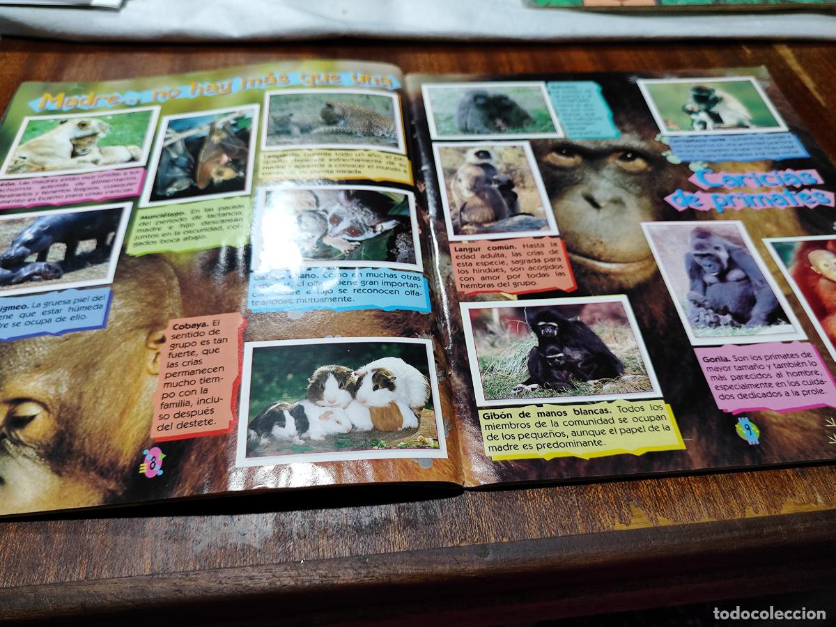 Coleccionismo &aacute;lbum: ALBUM CACHORROS - PANINI - Foto 4