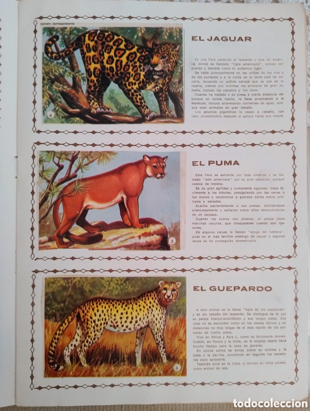 Coleccionismo &aacute;lbum: Album Los animales. 1966. COMPLETO - Foto 2