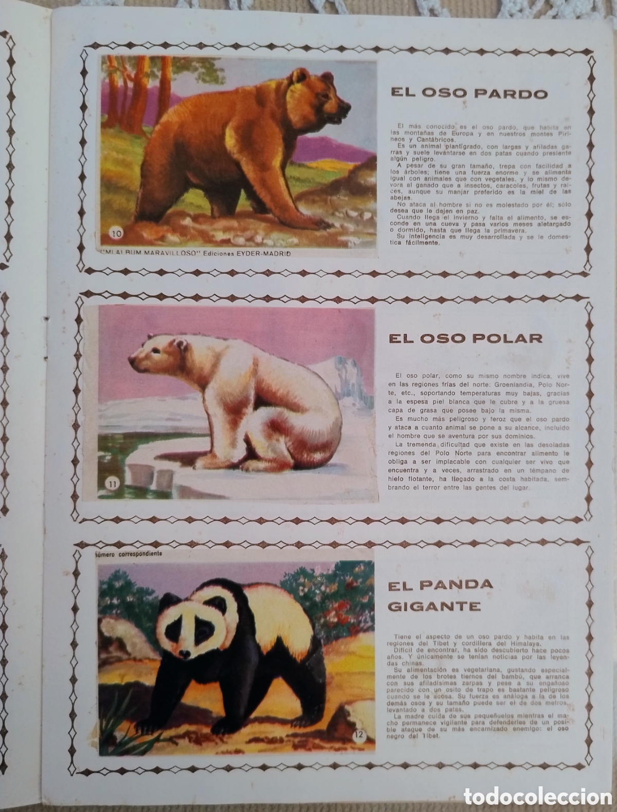 Coleccionismo &aacute;lbum: Album Los animales. 1966. COMPLETO - Foto 3