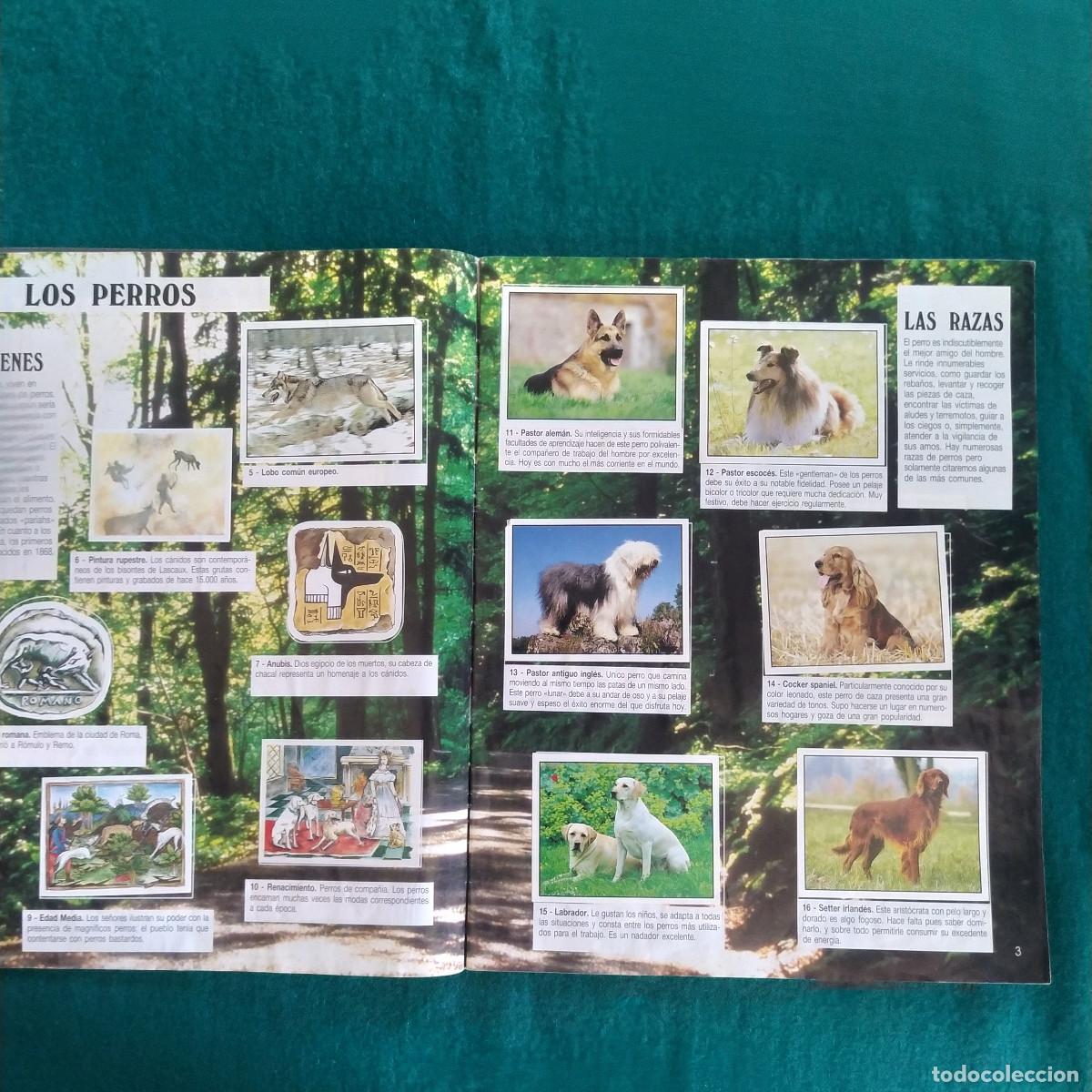 Coleccionismo &aacute;lbum: MIS ANIMALES PREFERIDOS PANINI - Foto 3