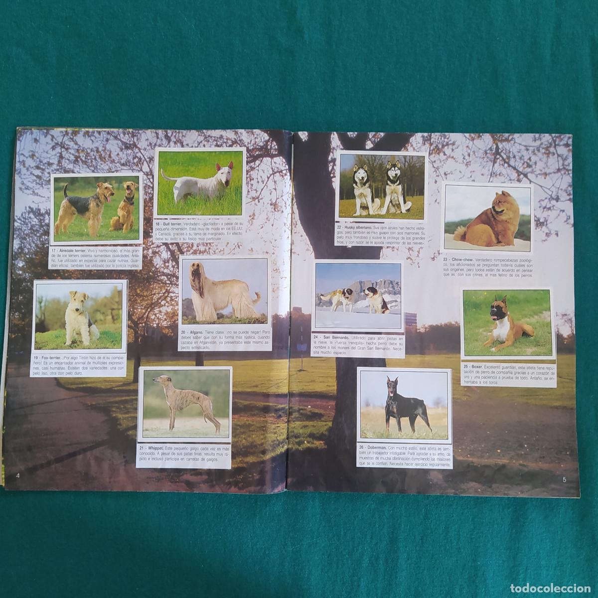 Coleccionismo &aacute;lbum: MIS ANIMALES PREFERIDOS PANINI - Foto 4