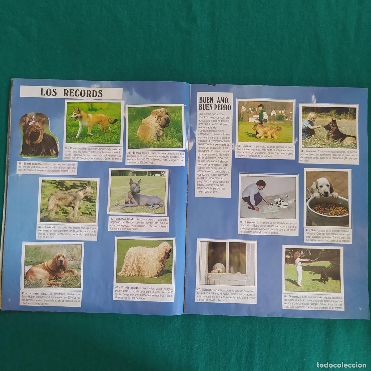 Coleccionismo &aacute;lbum: MIS ANIMALES PREFERIDOS PANINI - Foto 6