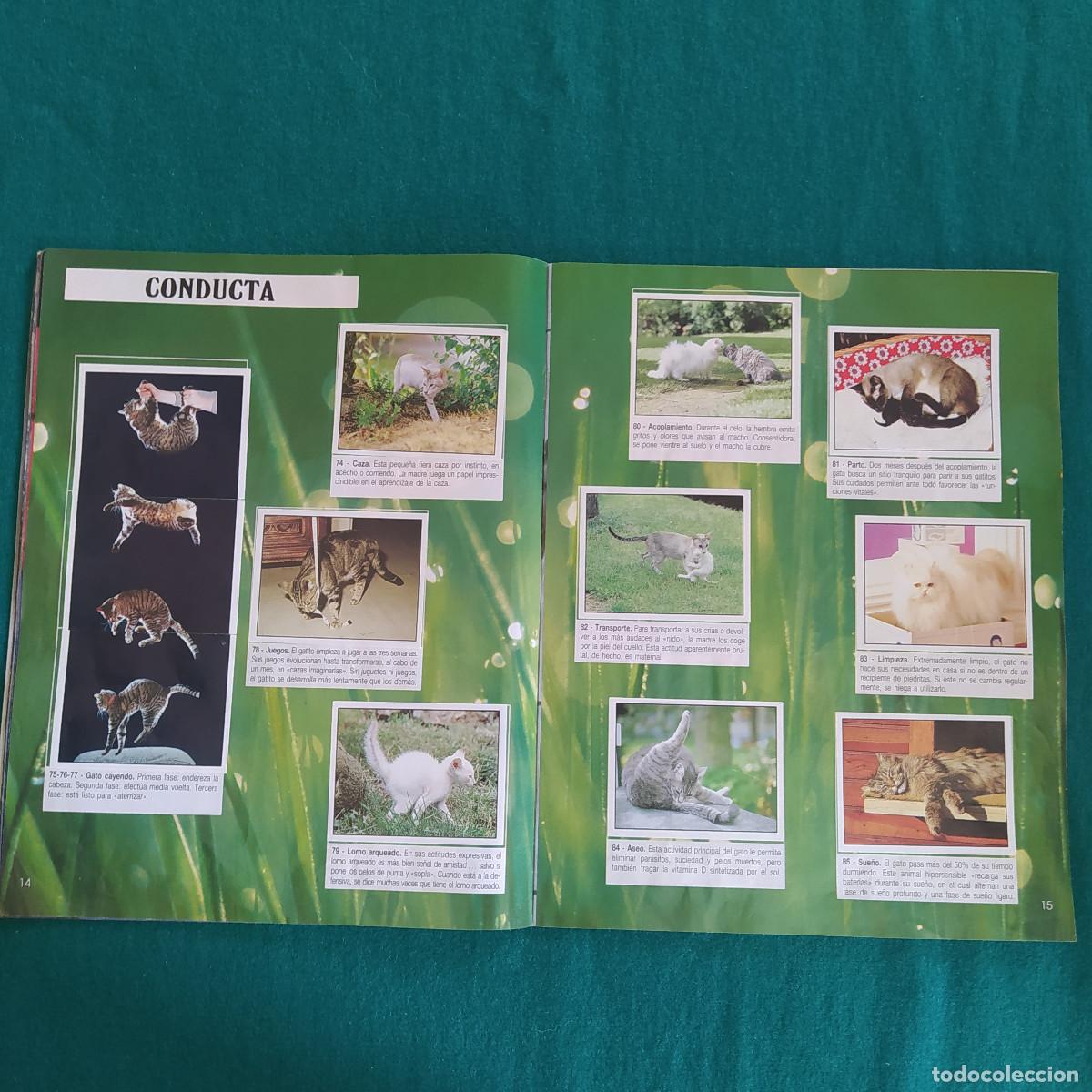 Coleccionismo &aacute;lbum: MIS ANIMALES PREFERIDOS PANINI - Foto 9