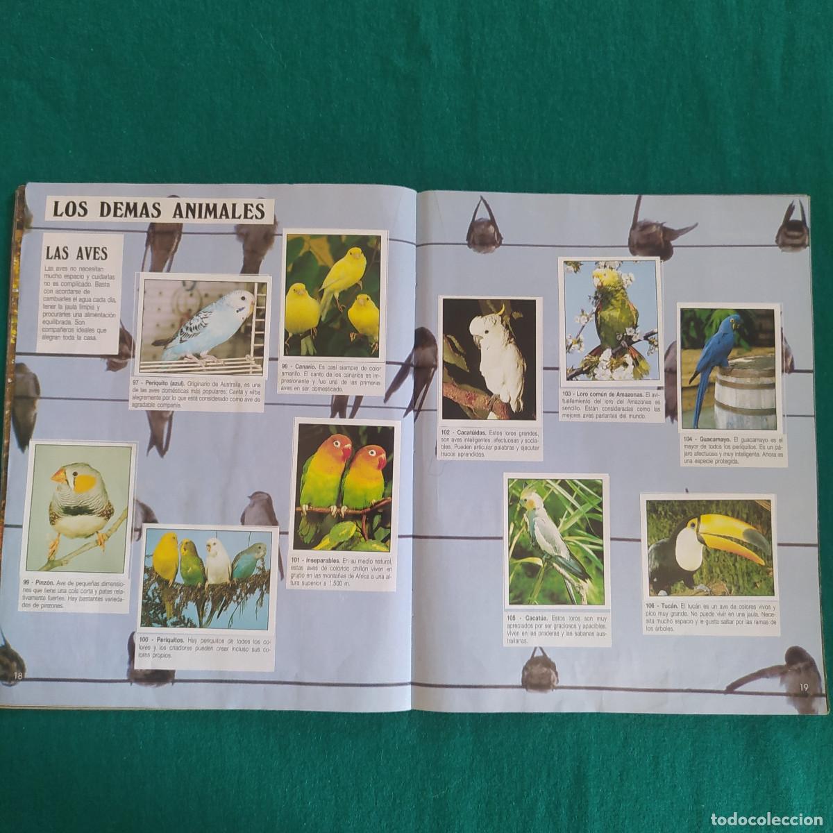 Coleccionismo &aacute;lbum: MIS ANIMALES PREFERIDOS PANINI - Foto 12