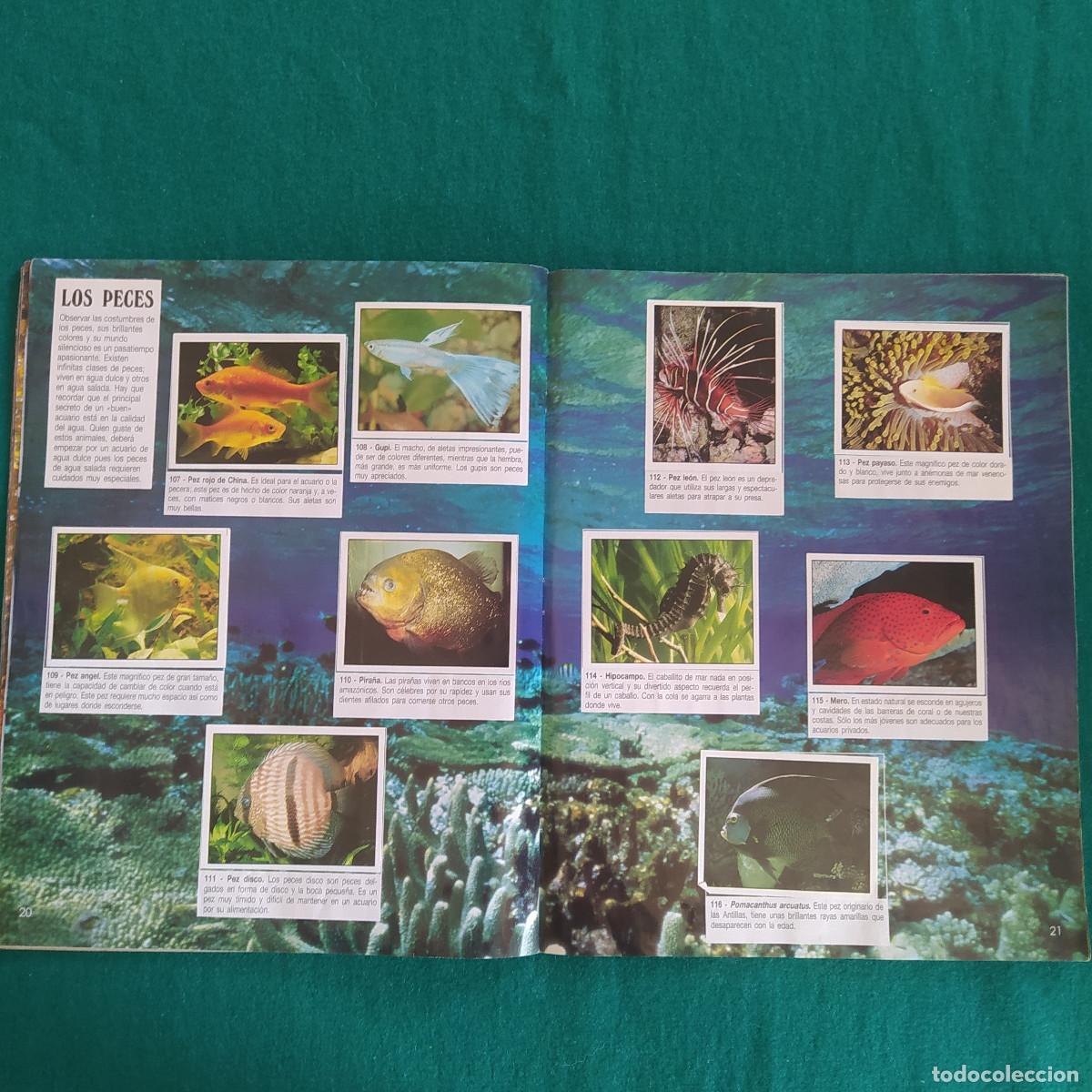 Coleccionismo &aacute;lbum: MIS ANIMALES PREFERIDOS PANINI - Foto 13