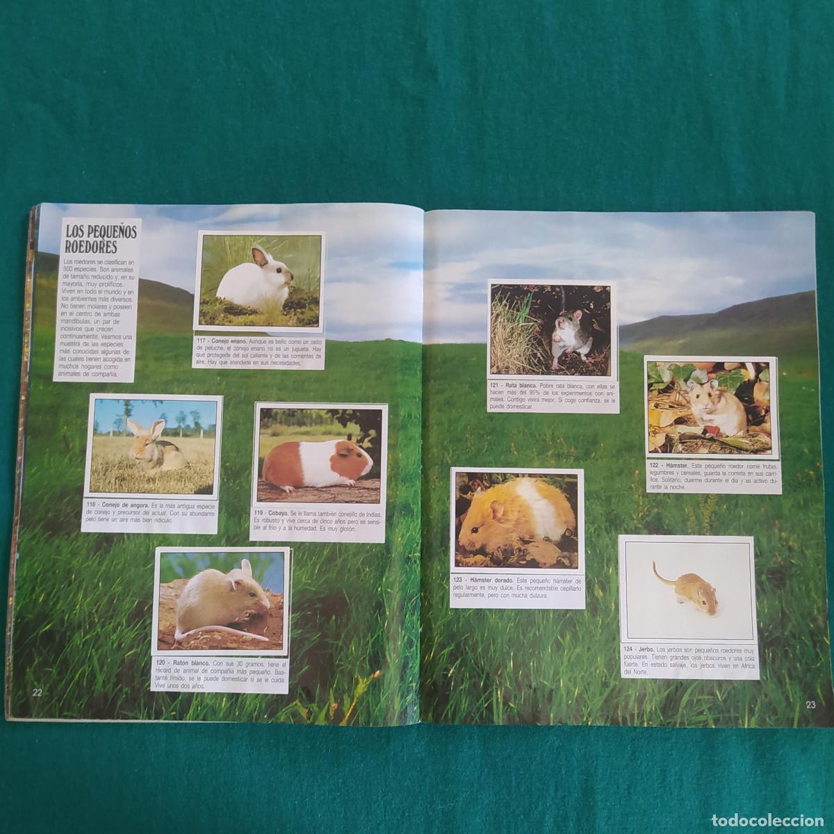 Coleccionismo &aacute;lbum: MIS ANIMALES PREFERIDOS PANINI - Foto 14