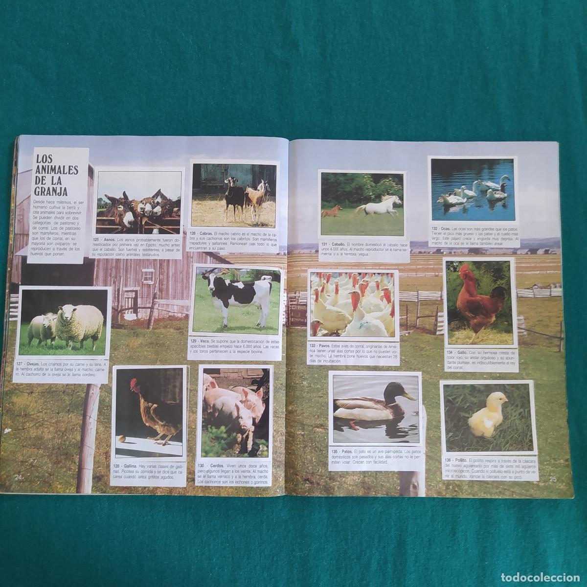 Coleccionismo &aacute;lbum: MIS ANIMALES PREFERIDOS PANINI - Foto 15