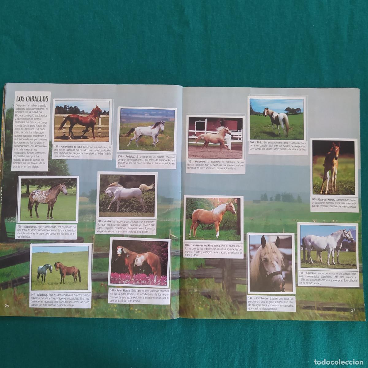 Coleccionismo &aacute;lbum: MIS ANIMALES PREFERIDOS PANINI - Foto 16