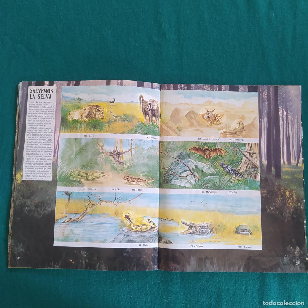 Coleccionismo &aacute;lbum: MIS ANIMALES PREFERIDOS PANINI - Foto 17