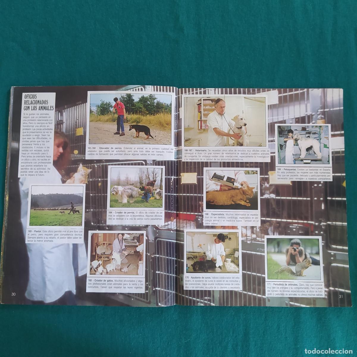 Coleccionismo &aacute;lbum: MIS ANIMALES PREFERIDOS PANINI - Foto 18