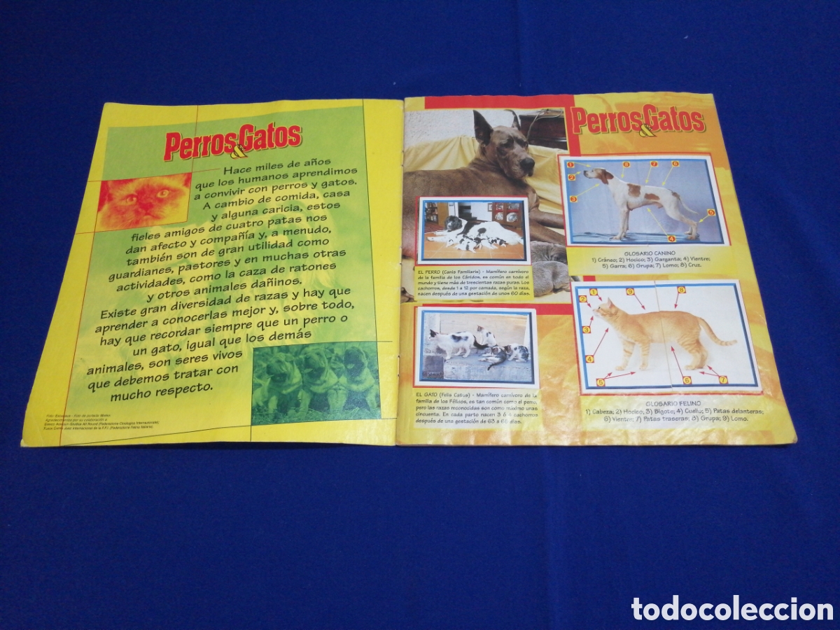 Coleccionismo &aacute;lbum: PERROS & GATOS PANINI - Foto 3