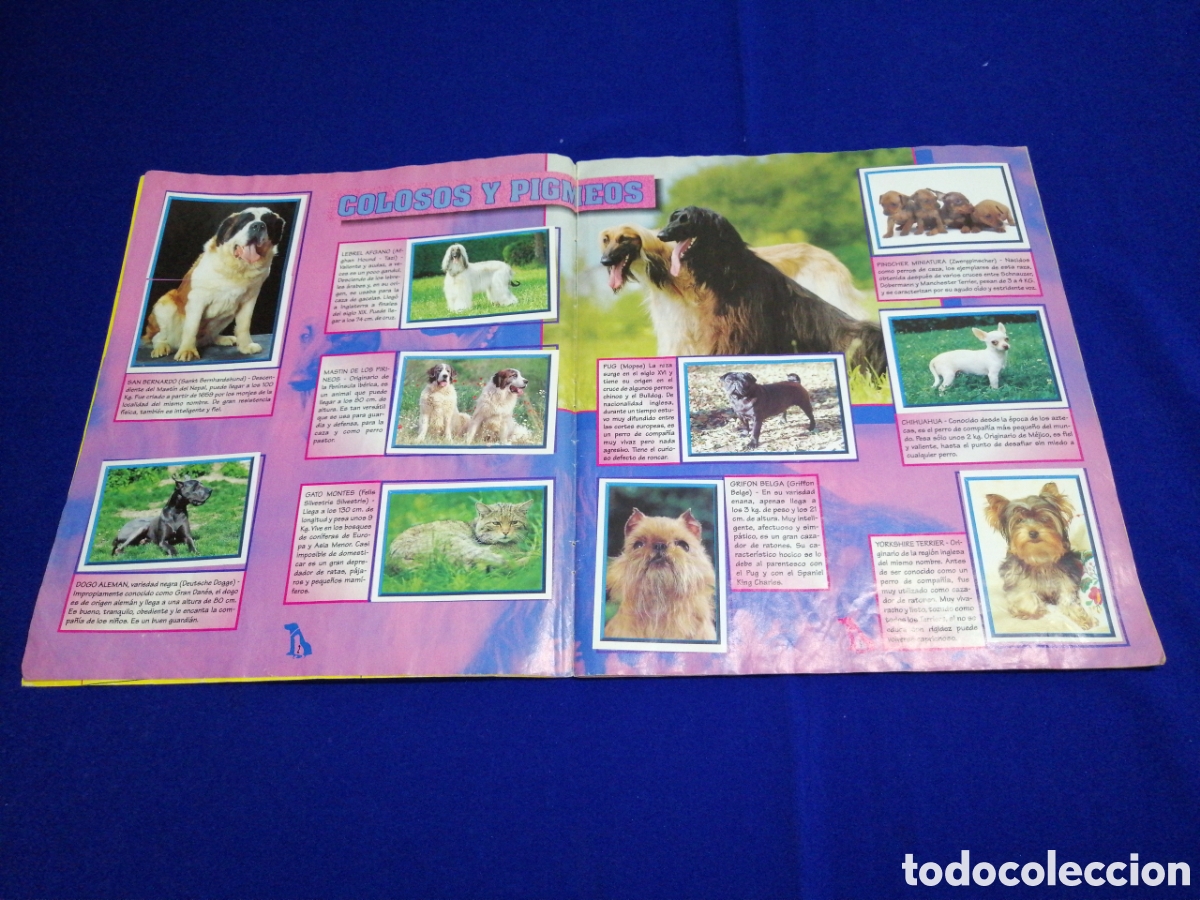 Coleccionismo &aacute;lbum: PERROS & GATOS PANINI - Foto 4