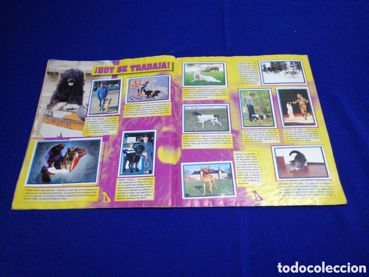 Coleccionismo &aacute;lbum: PERROS & GATOS PANINI - Foto 5