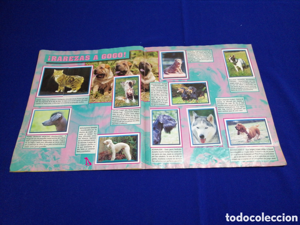 Coleccionismo &aacute;lbum: PERROS & GATOS PANINI - Foto 6
