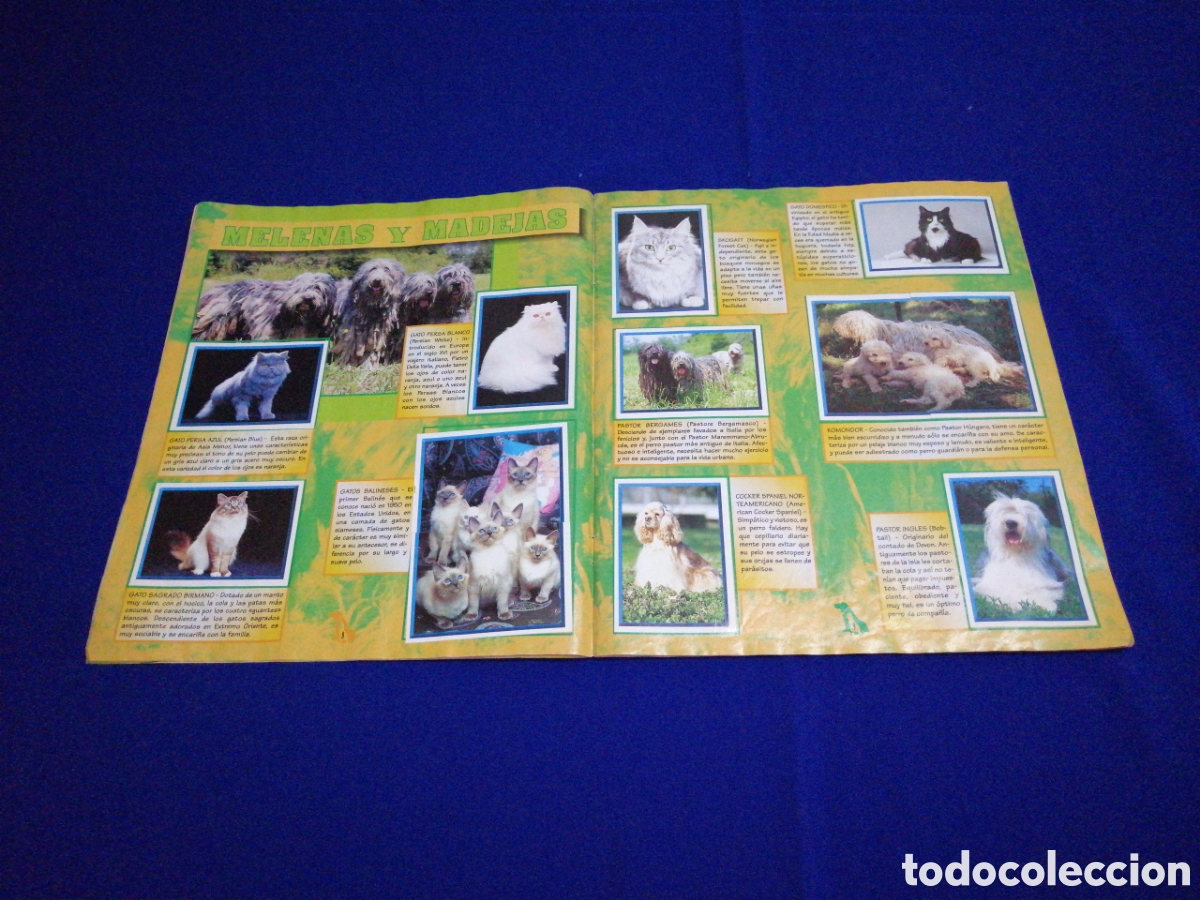 Coleccionismo &aacute;lbum: PERROS & GATOS PANINI - Foto 7