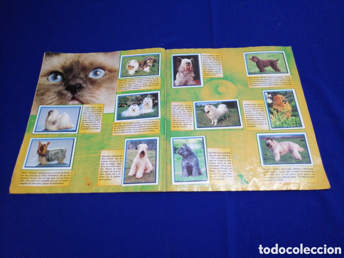 Coleccionismo &aacute;lbum: PERROS & GATOS PANINI - Foto 8