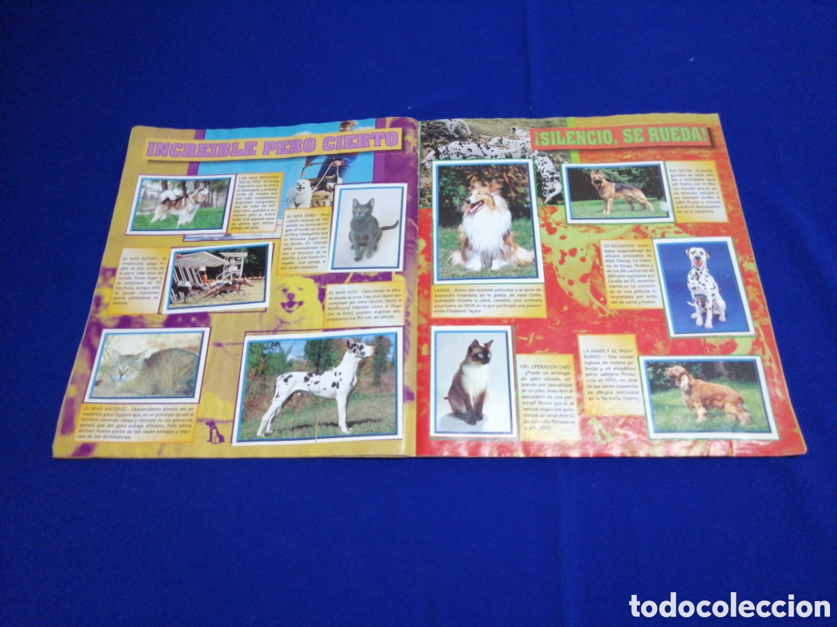 Coleccionismo &aacute;lbum: PERROS & GATOS PANINI - Foto 9
