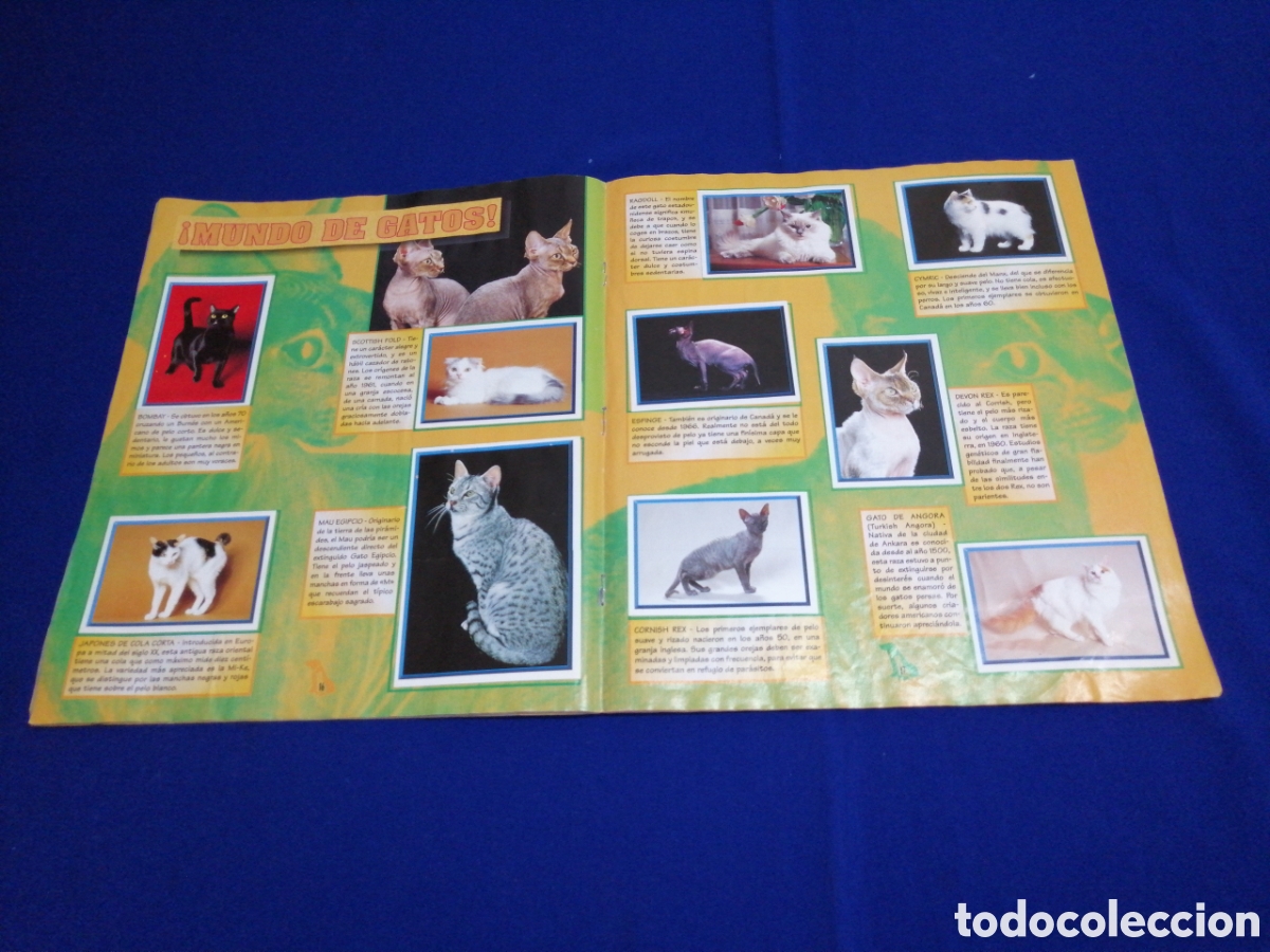 Coleccionismo &aacute;lbum: PERROS & GATOS PANINI - Foto 11