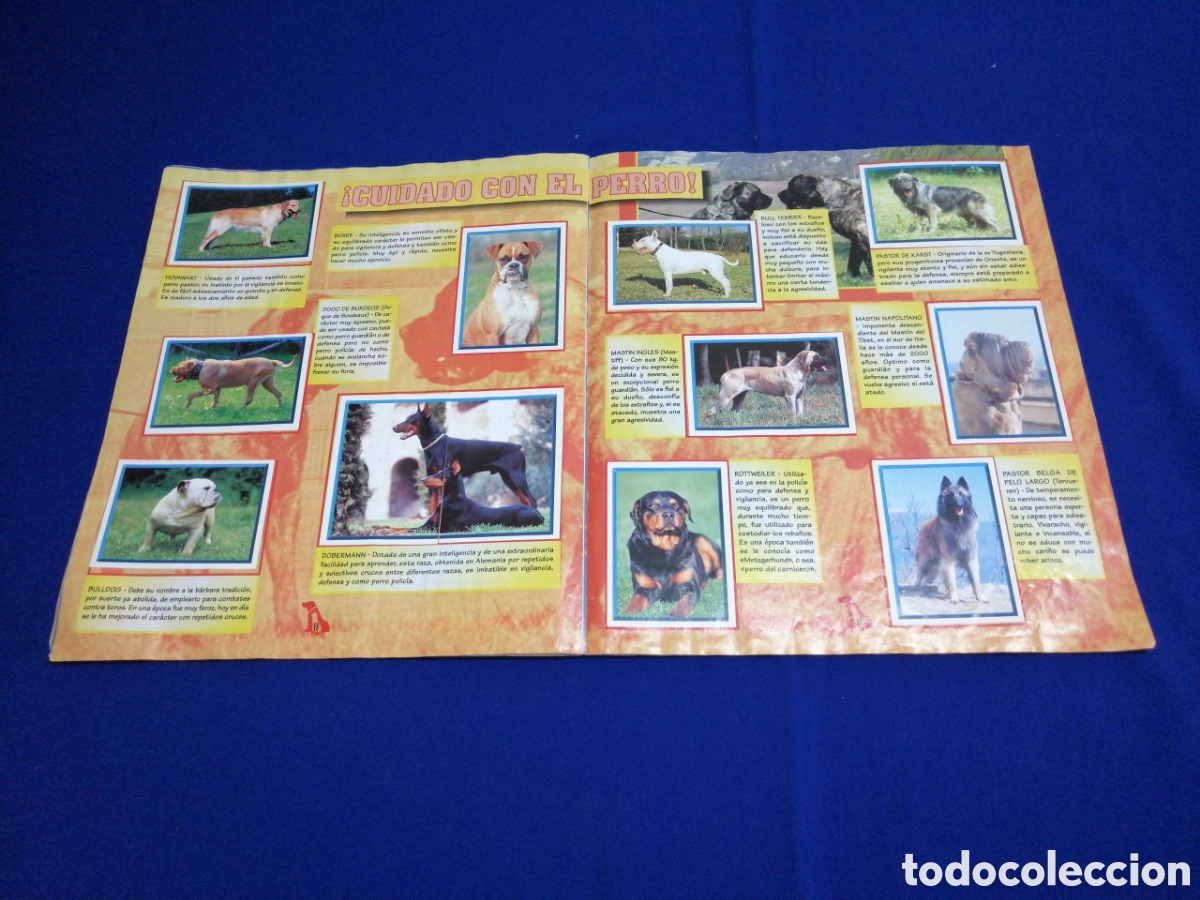 Coleccionismo &aacute;lbum: PERROS & GATOS PANINI - Foto 12