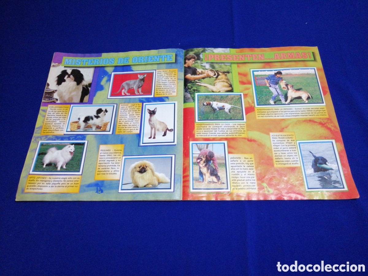 Coleccionismo &aacute;lbum: PERROS & GATOS PANINI - Foto 13