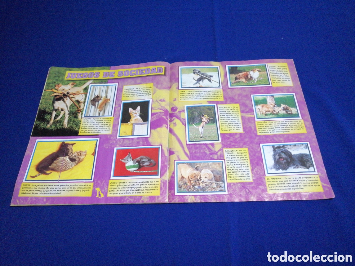 Coleccionismo &aacute;lbum: PERROS & GATOS PANINI - Foto 14