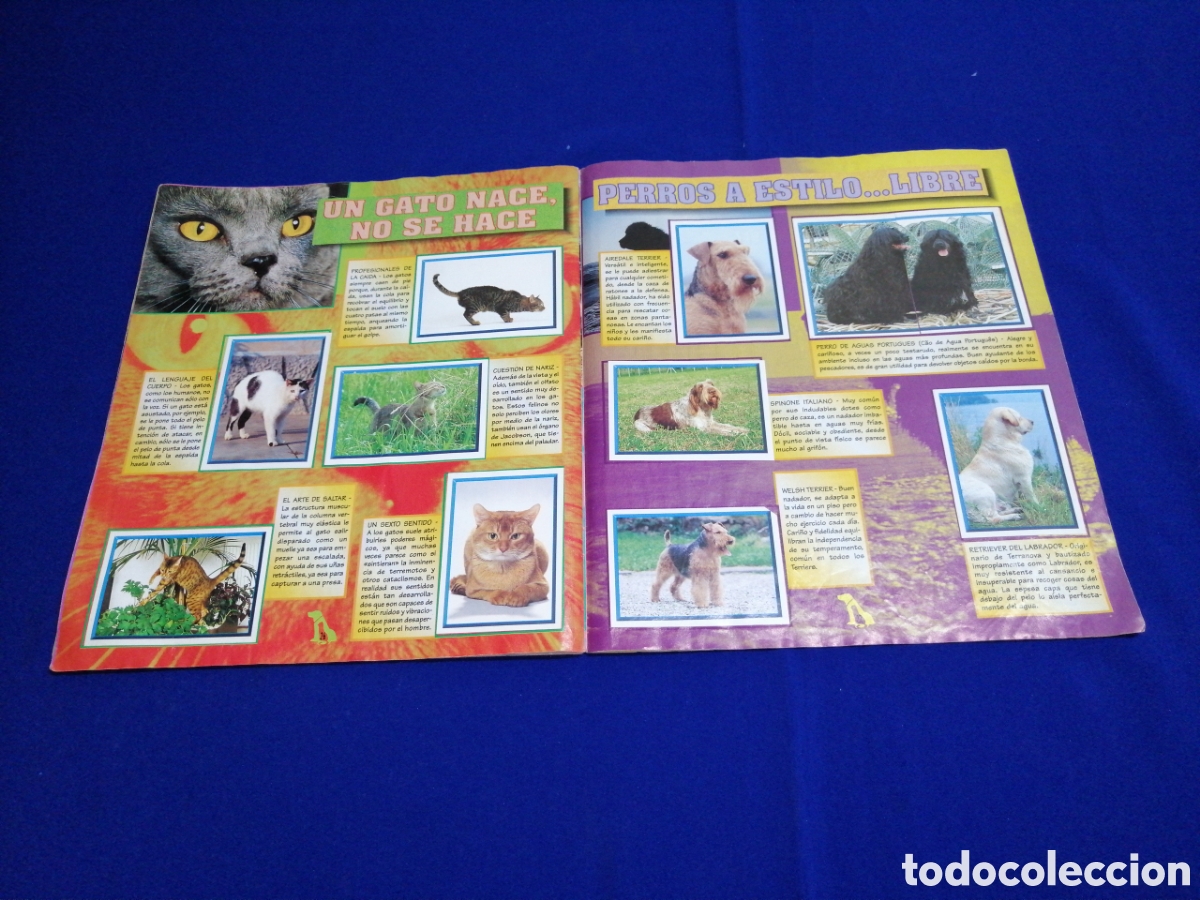 Coleccionismo &aacute;lbum: PERROS & GATOS PANINI - Foto 16