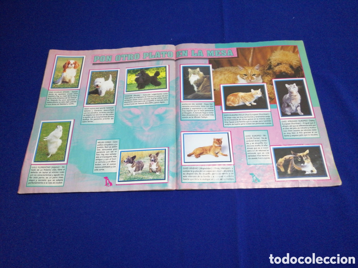 Coleccionismo &aacute;lbum: PERROS & GATOS PANINI - Foto 17