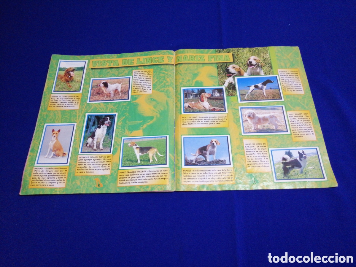 Coleccionismo &aacute;lbum: PERROS & GATOS PANINI - Foto 18